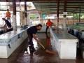 ล้างตลาดสดเทศบาลตำบลแม่พริก Image 1